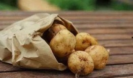 户外土豆爆料视频,揭秘田间地头那些不为人知的秘密